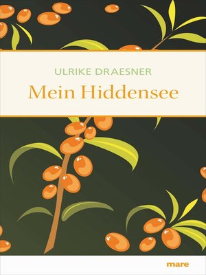 cover image of Mein Hiddensee
